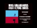 NOEL GALLAGHERs High Flying Birds - Do The.