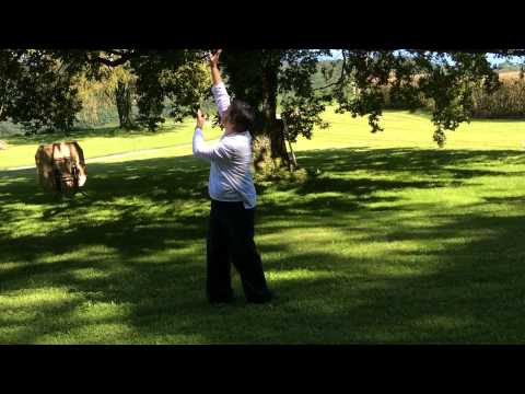 Shibashi  – 18 mouvements de base