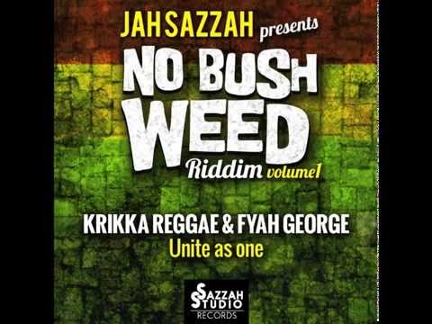 Krikka Reggae & Fyah George - Unite as One [Prod.Jah Sazzah]
