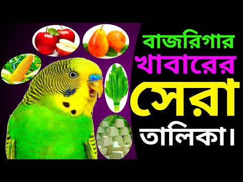 বাজরিগারের খাবারের সেরা তালিকা ll budgiegar best foods ll