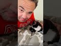 Kiss Your Cat Cutekitty Tuxedokitty
