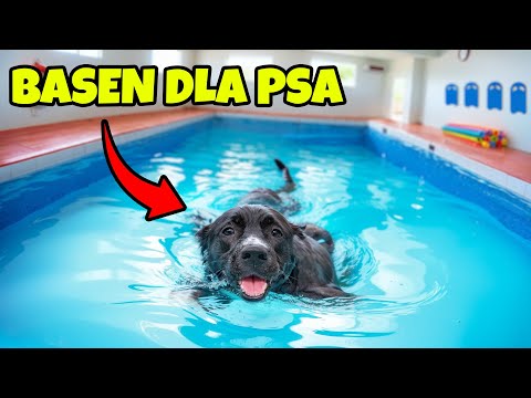 UCZĘ MOJEGO PSA PŁYWAĆ!