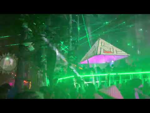 Neon Steve - Shambhala 2022