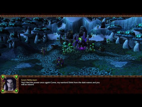 Grom and his High Elves become Void Elves