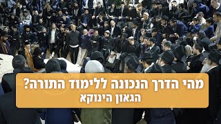 מהי הדרך הנכונה ללימוד התורה? | הגאון הינוקא במוצ"ש לאחר סעודה שלישית @TheYanukaRavShlomoYehuda