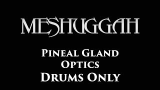 Meshuggah Pineal Gland Optics DRUMS ONLY