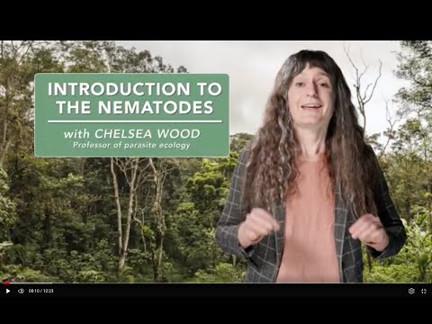 Introduction to the nematodes