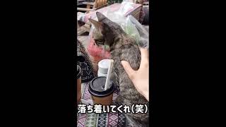 【ハノイ駐在独身女】大自然カフェに行ったら…（笑）