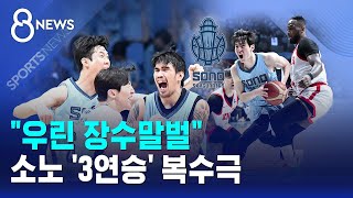 우린 장수말벌..소노 '3연승' 복수극 / SBS 8뉴스