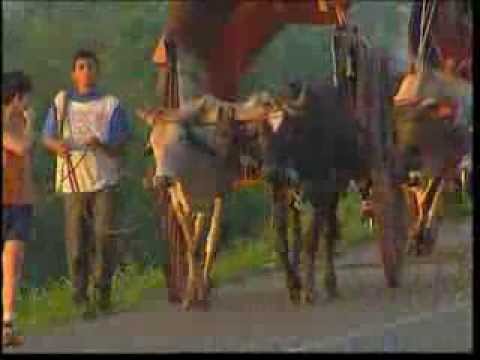 VIDEO VIRGENCITA DE CAACUPE