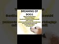 DREAMING OF DOGS / MEANING OF DREAMS