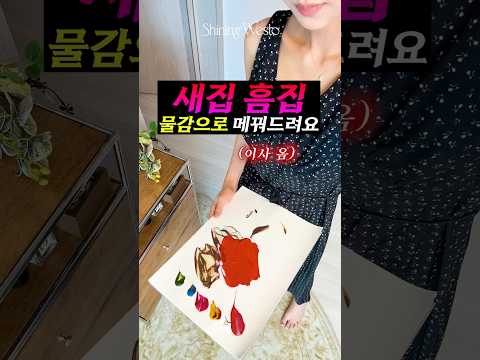 이사 온 집 흠집 메꿔드려요🔨🎨  #절대색감 #shorts