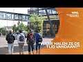 Verbazing over lucratieve nevenfuncties topbestuurders onderwijs: 'Kun je leraar van betalen'