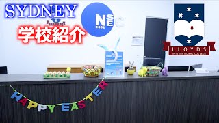 【シドニー留学】Lloyds International Collegeってどんな学校？キャンパスも紹介します！