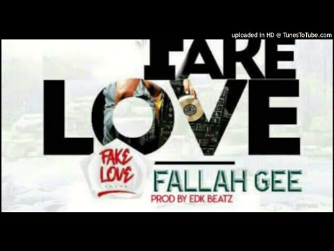 Fallah Gee - Fake Love [Prod. EDK Beatz] (NEW MUSIC 2018)