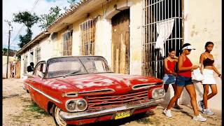 Trébol Clan-agarella pegala azotala