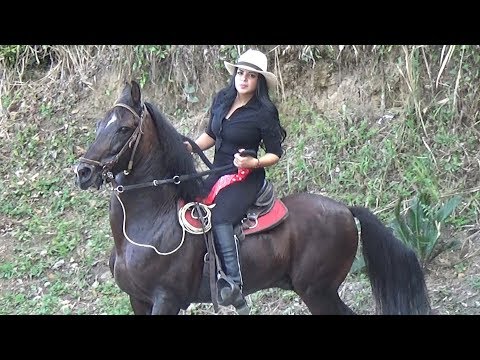 Cabalgata en Caicedonia, Fiestas Aniversarias 108 Años.