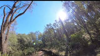 Cardiac Bypass Trail Part III and Shirland Canal #canal, #hiking