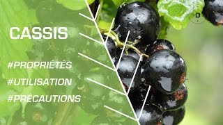 Click here to play the video