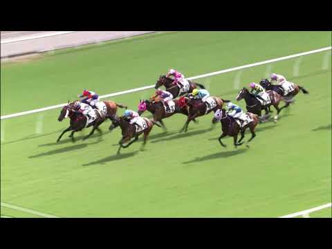 7/11/2021 (151) Darci Joy - Derek Leung