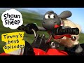 The Big Chase ️ Timmy S Best Episodes From Shaun The Sheep