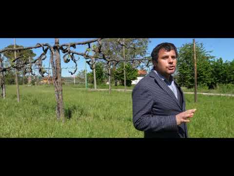 Museo Archeologico Taurasi   Località S Martino