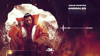 Animales Lyrics English Translation