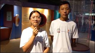 NVS Public School Video