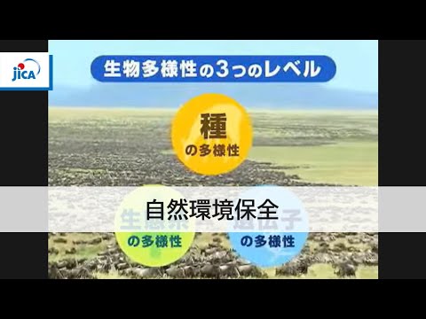 園芸 生物多様性への取り組み