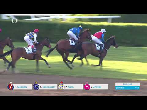 8. 5. 2025 - 9. dostih - CENA POLSKÉ NADACE PRO ROZVOJ A PODPORU DOSTIHOVÉHO SPORTU