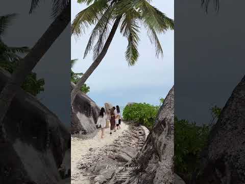 Dan Bilzerian girls enjoy on beach