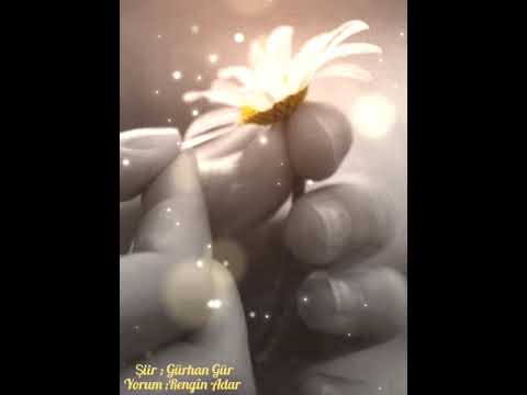 "Ben Biraz Deli Severim" (Şiir) Gürhan Gür, Rengîn Adar