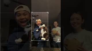 We had to bribe her with temptations for this #cat #challenge #trending #youtubeshorts