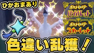 【ポケモンSV】ひかるおまもり効果絶大！大量発生リセマラがどれくらい楽になるか試してみた！！
