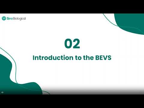 Producing Recombinant Proteins with the Baculovirus Expression Vector System (BEVS)