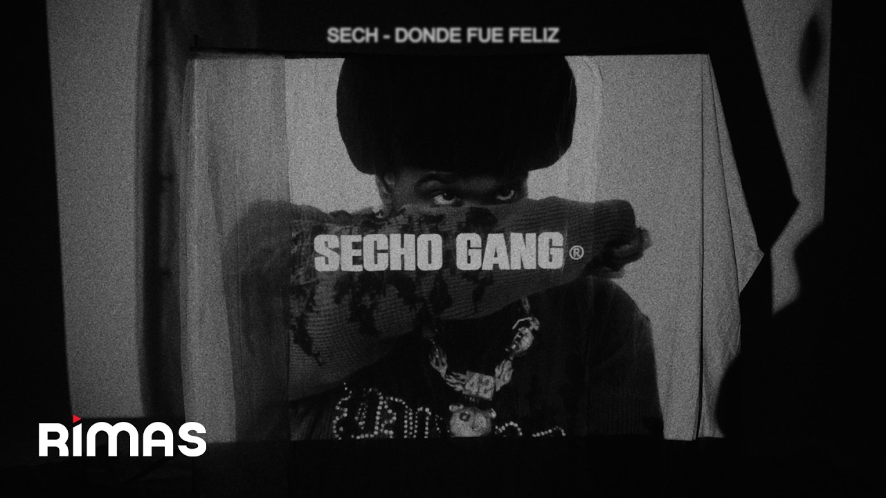 Sech - DONDE FUE FELIZ (Visualizer)