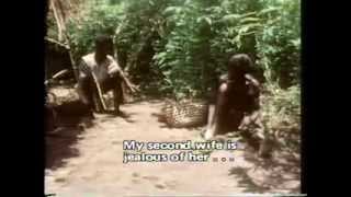 Witchcraft Among the Azande