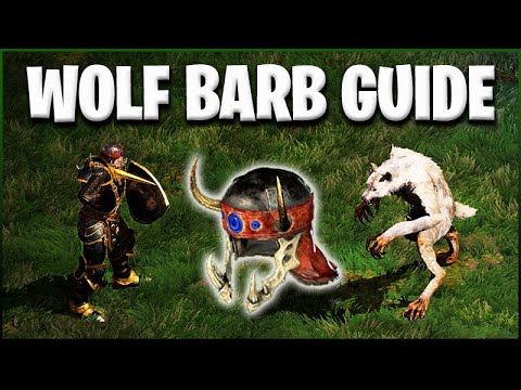 Wolf Barb Guide - Basics, Budget & Pro Build [D2R GM Melee PvP]