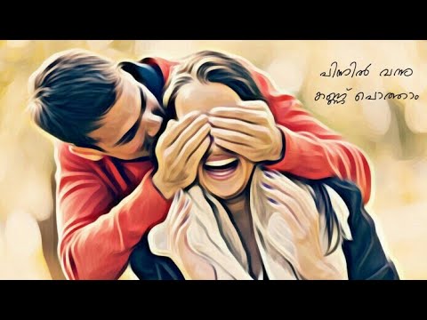 Pinnil Vannu Kannu Potham |Vennila Chandhana Kinam | നൊസ്റ്റാൾജിയ mix || Feathers ||