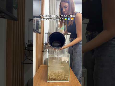 MONTEI UM AQUÁRIO DO ZERO !!