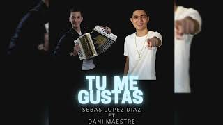 Tú me Gustas Music Video