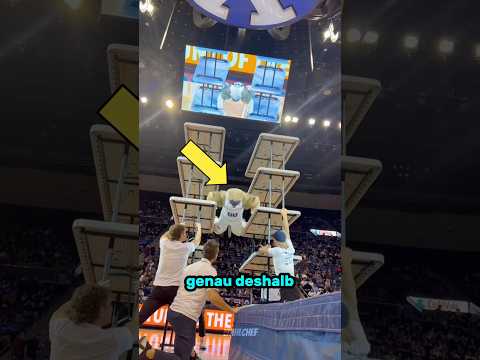 Dieser Typ hat mehr Kraft als Hulk (Cr: cosmo_cougar) #kraft #hulk #maskottchen #basketball