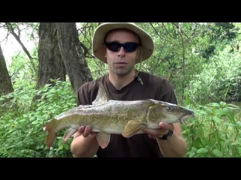 Dean Macey Fishing on the River Wye - Part 2