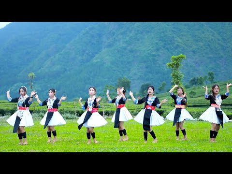 Nej Hom Zoo Zoo Nkauj Ne-Xyee Lee (Seev Cev) Nkauj Hmoob Tân Uyên 2025