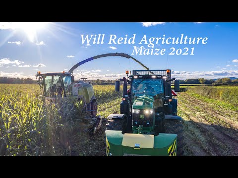WR Agriculture Maize 2021