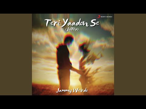 Teri Yaadon Se (Lofi Flip)