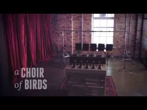 Jeremy Redmore - A Choir of Birds