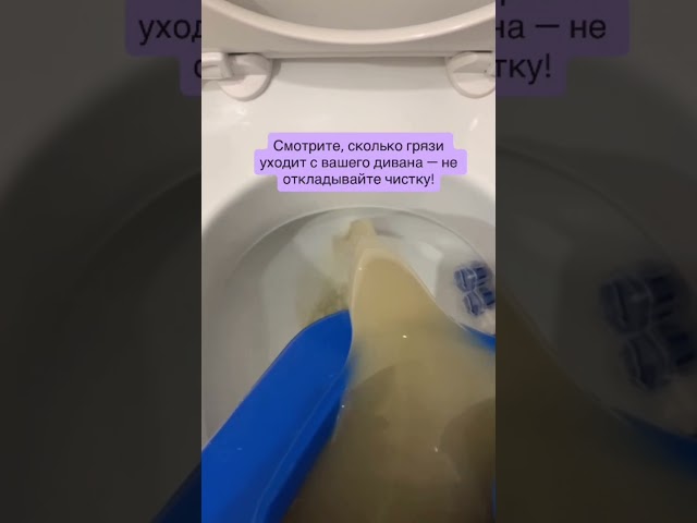 Сколько грязи может быть в диване?!