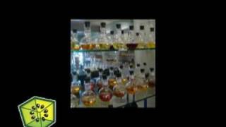 Melange Apothecary Interview with Kiwibox.com