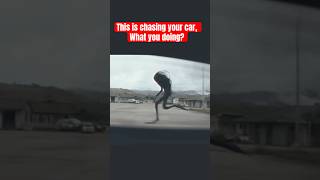 This is chasing your car, What you doing? 🤔#shorts #automobile #scary #cartok